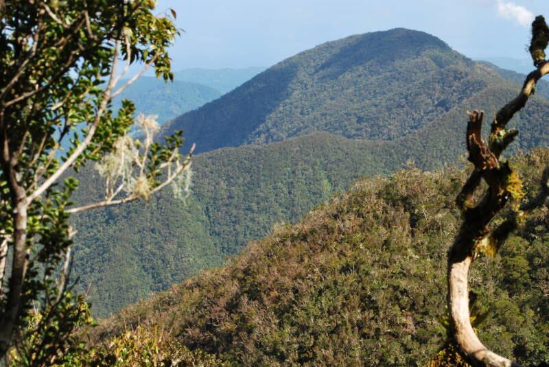 Blue Mountains in Jamaica